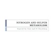 Exercise 15 - Nitrogen and Sulfur Metabolism