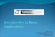Intro To Bebo Applications by Thought Labs