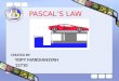 Pascal's Ppt