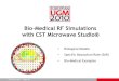 Bio-Medical RF Simulations With CST MICROWAVE STUDIO
