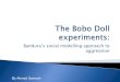The Bobo Doll Experiments (1)