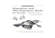 Migration and the Migratory Birds of Texas TPWD Publication