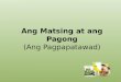 Ang Matsing at Ang Pagong