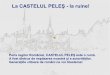 Salvati Castelul Peles!