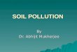 Evs- Soil Pollution