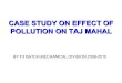 23817120 Case Study on Effect of Pollution on Taj Mahal
