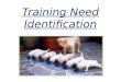 Training Need Identification