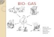 Presentation 1 Biogas