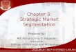 Strategic Market Segmentation