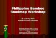 Bamboo roadmap wkshop clark