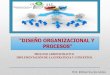Curso de diseño organizacional y procesos / Sesiones I - II - III - Expositor Rafael Trucios Maza
