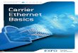 eBook Carrier Ethernet Basics Chap 1and2 Ang