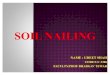 52985702 Soil Nailing Ppt
