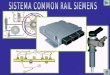 Common Rail Siemens