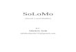 SoLoMo - Future of Marketing