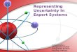 Representing uncertainty in expert systems