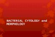 Bacterial Cytology and Morphology