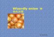 Wizardly Onion 神奇的洋葱