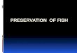 Preservation and processing of fish