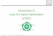 Lean Six Sigma Optimization