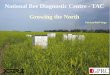 National Bee Diagnostic Centre - Presentation at Growing the North Conference, Grande Prairie, Alberta