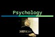 Human Memory - Psychology