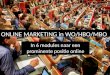 Online Marketing Plan - Module 1 vd Leergang Online Marketing Onderwijs