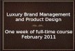 Luxury Brand Management 2011