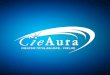 Cieaura CieAura Presentation Ian 2013-RO (1)