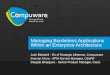 Managing Borderless Applications Within an Enterprise Architecture