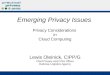 Privacy Issues of Cloud Computing in the Federal Sector