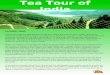 Tea Tourism – Gateway into the ‘Paradise Unexplored’!