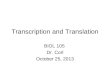 27 28 105 fa13 transcription and translation skel
