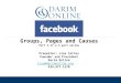 Facebook Groups, Pages and Causes
