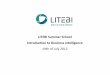 Litebi  Summer School - Introduction to Business Intelligence