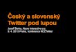 Český a slovenský Twitter pod lupou