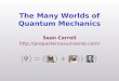 The Many Worlds of Quantum Mechanics