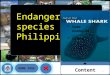 ppt some endangered species in the philippines