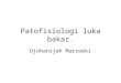 Patofisiologi Luka Bakar