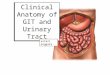 Clinical Anatomy of GIT and Urinary Tractnary Tract