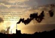 Bhopal Gas Tragedy- The Night of Death