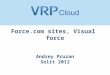 3.dev meetup2 visualforce_sites_a_pruzan