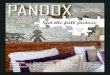 Pandox Annual Report 2013