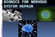 Bionics for Nervous System Repair
