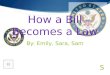 Government- How a Bill Becomes a Law