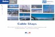 Setra Cable Stays