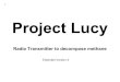 Project Lucy Extended Version 4