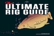 Ultimate Rig Guide