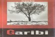 Garibi - Ibrahim Delic