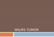 Wilms tumor.ppt